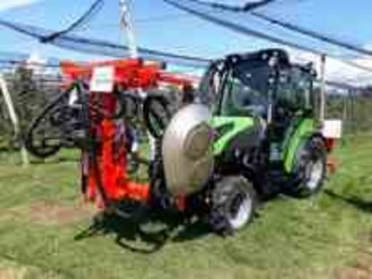 Bild 2:Entlauber Olmi