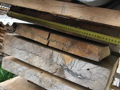 Bild 5:Nuss, Walnuss Pfosten