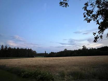 Suchen Pachtgrund Wels-Land, Kirchdorf