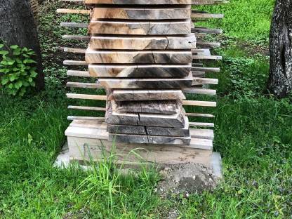 Bild 2:Nuss, Walnuss Pfosten