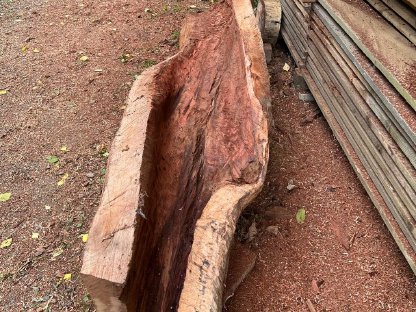 Bild 2:Getrennter Birnbaumstamm