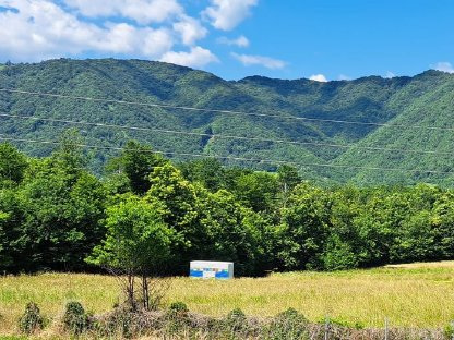 Bild 4:Honig aus Kroatien, größere Menge