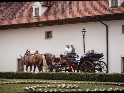 Bild 7:Diverse Kutschenfahrten