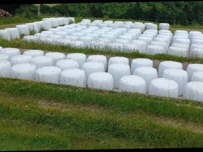 Silageballen