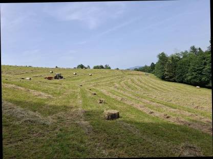 Bild 2:Heuballen