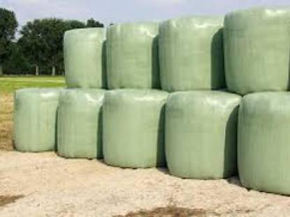 Luzernesilage