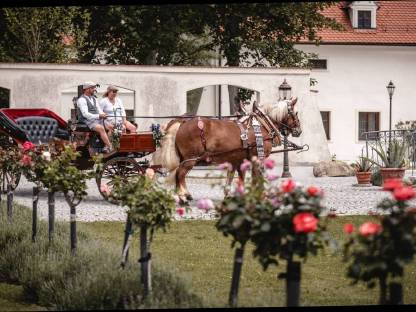 Bild 2:Diverse Kutschenfahrten