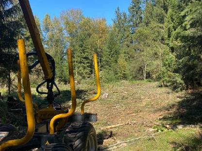 Bild 2:Forstdienstleistungen