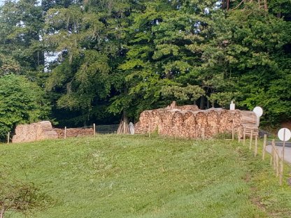 Trockenes Buchen- und Eschenbrennholz