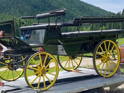 Wagonette für 10 Personen