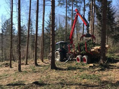 Bild 3:Biete Forstarbeiten