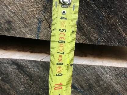 Bild 3:Nuss, Walnuss Pfosten