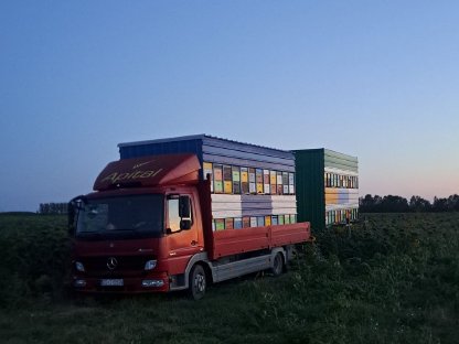 Bild 6:Honig aus Kroatien, größere Menge