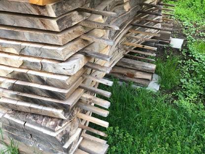 Bild 7:Nuss, Walnuss Pfosten