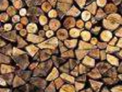 Bild 3:Brennholz trocken