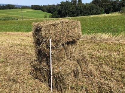 Heuballen, Pferdeheu, kleine Quader