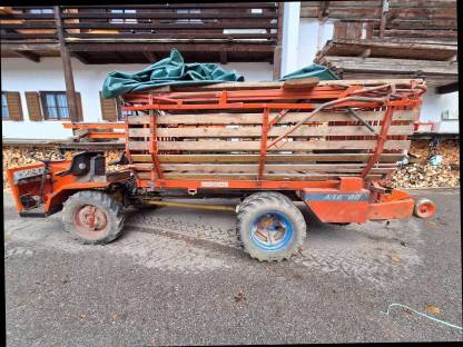 Steinbock Agil 3000 mit Trunkenpoltz, kein Reform Muli