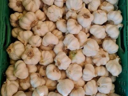 Knoblauch Direktvermarktung Hofladen