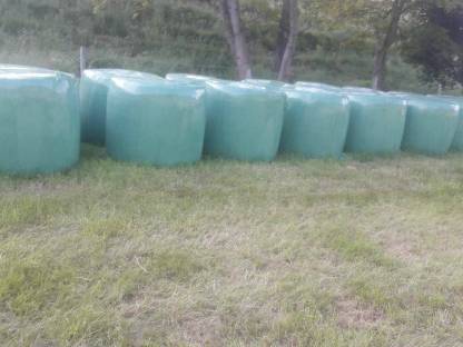 Silageballen