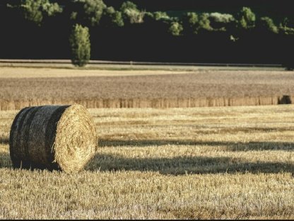 Kaufe landwirtschaftliche Flächen im Bezirk Zwettl und Krems