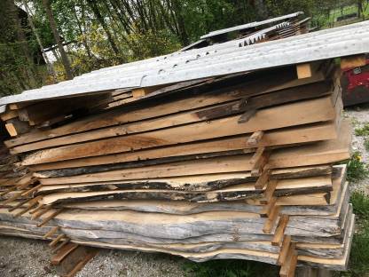 Bild 2:Nuss, Walnuss Pfosten