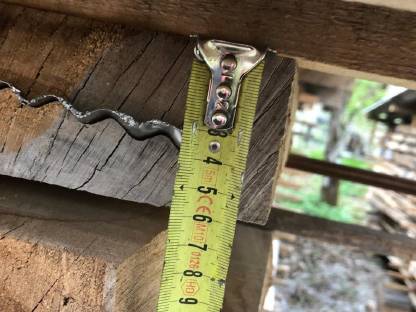 Bild 6:Nuss, Walnuss Pfosten