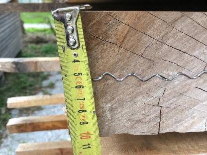 Bild 3:Nuss, Walnuss Pfosten