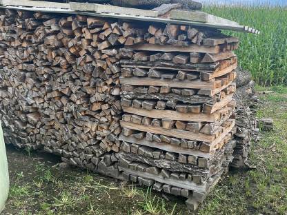 Bild 3:Brennholz