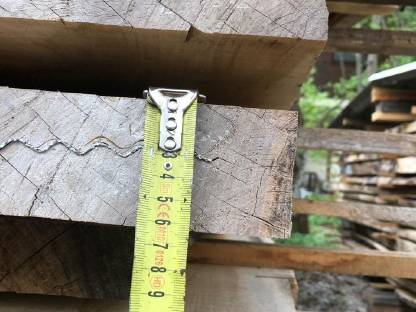 Bild 7:Nuss, Walnuss Pfosten