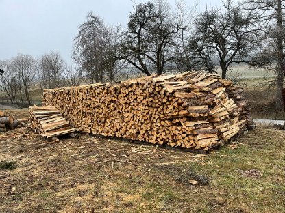 Brennholz gemischt 1 m zu verkaufen