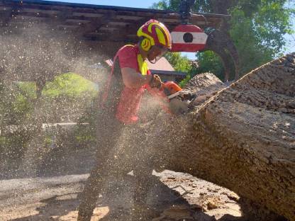 Bild 4:Holzschlägerungsarbeiten