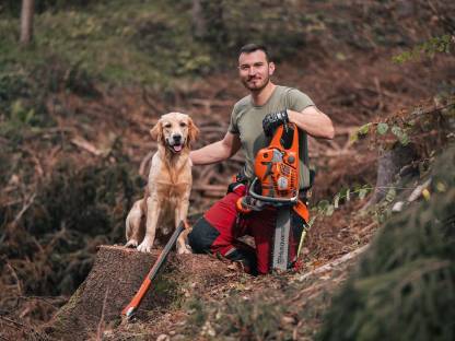 Bild 2:Holzschlägerungsarbeiten