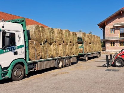 Stroh, Heu, Grumet, Silageballen, Maissilageballen