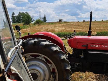 Massey Ferguson 65X