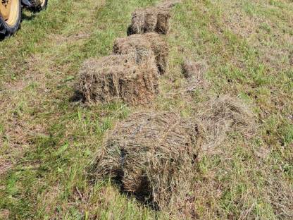 Bild 2:Heu in Kleinballen