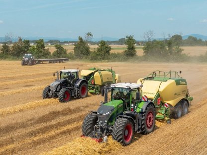 Bild 3:Stroh in Quaderballen