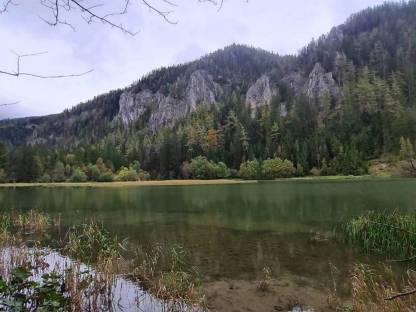 Landwirtschaft gesucht in Kärnten