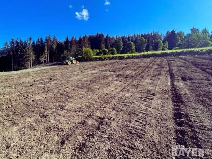 Bild 5:Rekultivierung