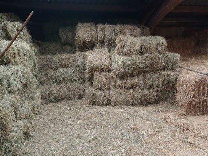 Wiesenheu, Weizen-/Gersten-Stroh, Luzerneheu in Kleinballen