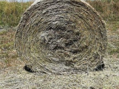 Bio-Heurundballen