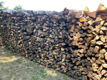 Bild 2:Brennholz Weißbuche