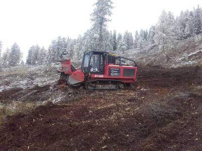 Bild 4:Rodungen, Almpflege, Stockfräsen 
