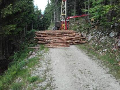 Bild 2:Durchforstungsservice - motormanuell & Sapelrückung