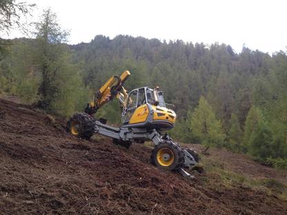Bild 3:Rodungen, Almpflege, Stockfräsen 