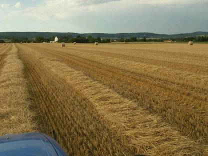 Bild 2:Rundballen pressen