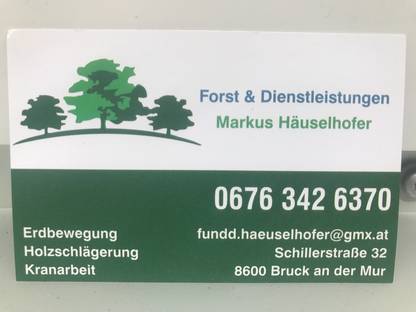 Bild 4:Professionelle Problembaumentfernung