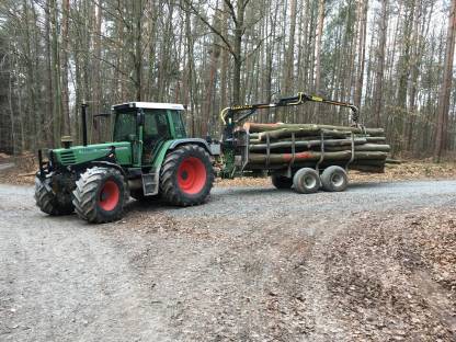 Bild 3:Holztransport, Stammholz, Brennholz