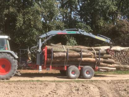 Bild 2:Holztransport, Stammholz, Brennholz