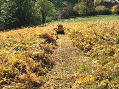 Bild 4:Mulcharbeiten