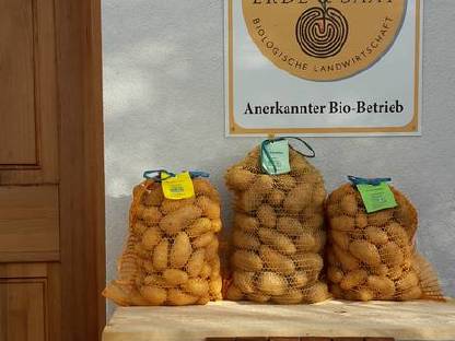 Bild 4:BIO Kartoffel